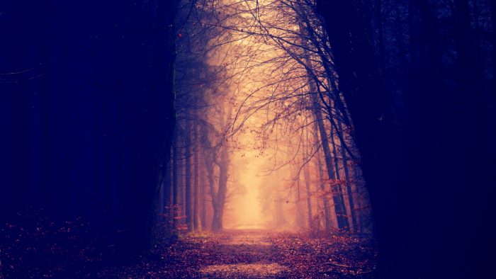 Advice on How to Overcome the Fear of Death