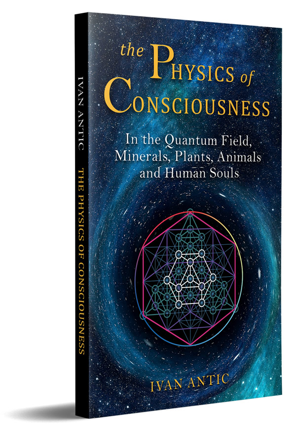 The Physics of Consciousness Book Cover