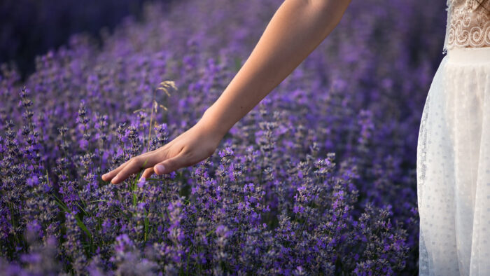 Manifesting Abundance in Life