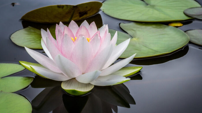 spiritual awakening meaning