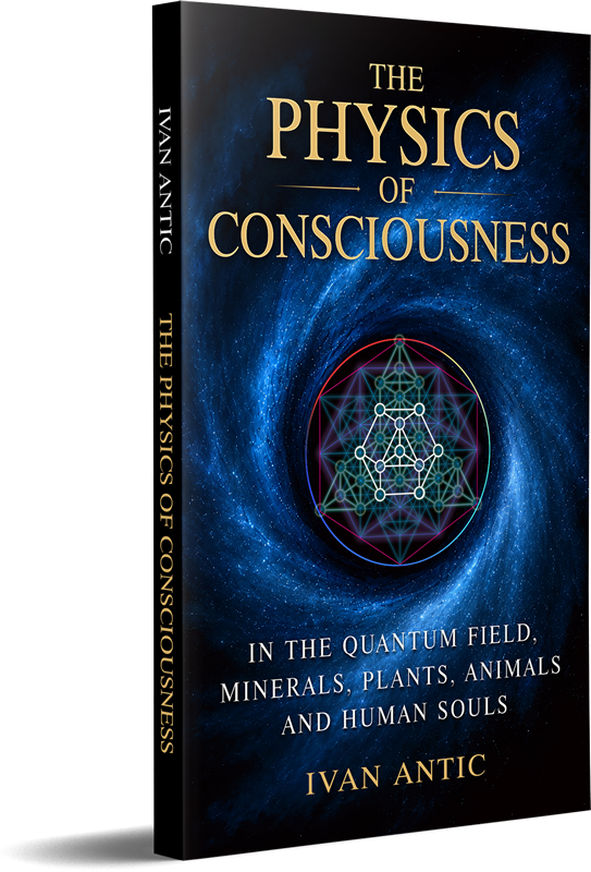 The Physics of Consciousness: In the Quantum Field, Minerals, Plants, Animals and Human Souls